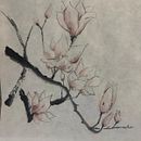 Caco e Magnolia. Een project van  Botanische illustratie, Traditionele illustratie,  Illustratie met inkt y  Beeldende kunst van Sara Facenda - 17.01.2026