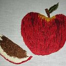 Bordado por fora bela viola, por dentro pão bolorento. Un progetto di Ricamo e Artigianato di Keisy Rodrigues - 18.01.2026