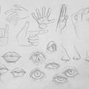 Parts del cos. Een project van  Tekening van s4r_and0nga11 - 21.01.2026