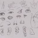 Parts del cos . % annaatw tarafından hazırlanan Çizim, Geleneksel illüstras, Ve on projesi - 01.22.2026