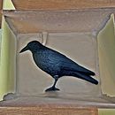 El cuervo. Un projet de Artisanat, Beaux Arts , et Céramique de Ricardo Rod - 27.01.2026