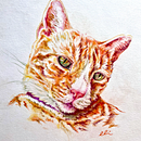 Enzo y Minerva . % Eli Antonino tarafından hazırlanan Geleneksel illüstras, on, Doğalcı İllüstras, Ve on projesi - 01.27.2026