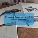 Técnicas de ilustración naturalista:ballenas en acuarela. Naturalistic Illustration, Painting, Watercolor Painting, and Fine Arts project by Ana Mainar Juste - 01.28.2026