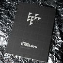 Monogramme modulaire Valentino Coppi. Un projet de T, pographie , et Lettering de Valentino Coppi - 29.01.2026