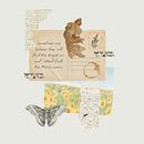 Sometimes one believes they will find the August sun and instead finds the March moon. Een project van Collage, Stor y telling van Mariagrazia Repola - 29.01.2026