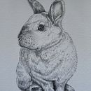 Lila con grafito . Een project van  Tekening, Traditionele illustratie, Naturalistische illustratie y Tekening met potlood van silvia_aat - 29.01.2026