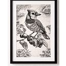 Ilustración con tinta y pluma. Un projet de Dessin artistique, Dessin, Illustration à l'encre, Illustration naturaliste, Carnet de croquis , et Esquisse  de Patricia Moravec - 29.01.2026