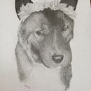 Retratos de mascotas a grafito Ein Projekt aus dem Bereich Zeichnung, Porträtzeichnung und Realistische Zeichnung von Canela Jimenez Marchant - 05.02.2026