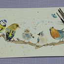 Where to look.. Un progetto di Illustrazione tradizionale, Pittura ad acquerello, Disegno realistico e Illustrazione naturalistica di Santiago Martínez Masip - 07.02.2026