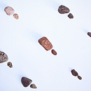 Naturaleza y forma . Architecture, Fine Arts, Creative Consulting, Art Direction, Editorial Design, Graphic Design, and Set Design project by laura_a_ - 02.09.2026