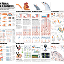 Evolution of neural progenitor cells. Design gráfico, Infografia, Design de informação, e Design interativo projeto de Eduardo Fernández Ortuño - 09.02.2026