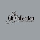 The Gin Collection Ein Projekt aus dem Bereich Grafikdesign, Verlagsdesign und Werbung von Susana Lurguie María - 12.02.2026