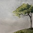 Akwarela techniką suchego pędzla  . Ilustrație botanică, Desen, Arte plastice, Ilustrație naturalistă, Pictura și Pictură în acuarelă de Natalia Kołodziej - 02.17.2026