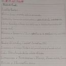 Proceyto CreaMot INC Animation . % bermudezsebastian0818 tarafından hazırlanan Markalaşma ve Kimlik, Tasarım, Logo Tasarımı, Grafik Tasarım, Tipografi Tasarımı, Ve Tipografi projesi - 02.18.2026