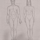 DIBUIX ARTÍSTIC: El cos humà i el cànon . Desen, Desen în creion și Desen artistic de anna herrerías soto - 02.20.2026