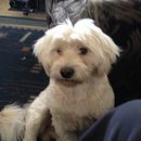 Diseño de vivienda . Een project van 3D, Architectuur, Digitale architectuur, Interactief ontwerp,  3D-modellering y Architecturale visualisatie van monserratcb85 - 21.02.2026