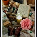 Organic Spontaneity. Un proyecto de Diseño de Rimgaudas Gudaitis - 22.02.2026