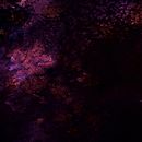 frases . Tipografi, Dan Desain Tipografi proyek oleh Dahir Alejandro yusti barona - 02.22.2026