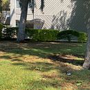 Coral Agisoft. Un progetto di 3D, Progettazione 3D, Progettazione di videogiochi, Modellazione 3D e Videogiochi di sarahpachecolete23 - 01.03.2026