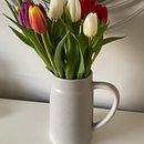 Nick Sharratt’s Life and Work. Projekt z dziedziny Komunikacja, Doradztwo kreat, wne, Kreat, wność,  R, sunek,  Pismo dekorac, jne, Trad, c, jna ilustracja, T, pografia i Zarządzanie portfolio użytkownika Jo - 05.03.2026