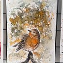 Petirrojo Europeo. Un proyecto de Ilustración tradicional, Pintura a la acuarela e Ilustración naturalista				 de mariana_yarse - 16.03.2026