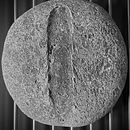 Video con AI. Artificial Intelligence, Film, Video, and TV project by gcristofari73 - 03.18.2026