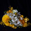 Spring Present . % annavcia tarafından hazırlanan Güzel Sanatlar Fotoğrafçılığı, Ürün Fotoğrafçılığı, Ve Fotoğrafçılık projesi - 03.19.2026