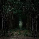 VERDE EN RUEDAS. Projekt z dziedziny  Kompoz, cja w fotografii, Fotografia, Fotografia c, frowa, Retuszowanie fotografii i Teoria barw użytkownika santiago camacho - 20.03.2026