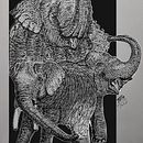 Meu projecto final do curso de Ilustração de Animais Selvagens por Alberto Russo. Desenho, Ilustração com tinta, Ilustração naturalista, e Esboçado projeto de António Anjos Mendonça - 20.03.2026