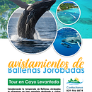 Cayo levantado . Publicitate de Kelvin Enrique Albuez Lopez - 03.20.2026