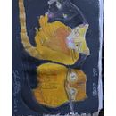 Gatos míos . Ilustrasi tradisional, Dan Menggambar proyek oleh Silvana Pertuz-Belloso - 03.22.2026