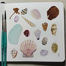 Treasures from White Beach, Boracay Island, Philippines. Un proyecto de Dibujo, Ilustración naturalista				, Dibujo a lápiz, Sketchbook y Pintura a la acuarela de mainsartavenue - 22.03.2026