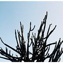 Portafolio. Een project van Communicatie,  Beeldende kunst y Digitale illustratie van Dave Rodriguez - 23.03.2026