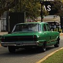 Fotos paseo en Tigre. Photograph, and Digital Photograph project by Lola Campos - 03.23.2026