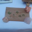 Postal Botánica Ein Projekt aus dem Bereich Collage, H, werk, Briefpapier-Design, Blumen- und Pflanzendesign und Produktfotografie von Rafaela Sofía - 24.03.2026