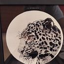 Onça em linhas.. Un progetto di Disegno, Ricamo, Fiber Art, Illustrazione tradizionale, Disegno realistico e Textile Design di Erika Siqueira - 25.03.2026