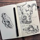 Skulls. Sketching, Creativit, Drawing, Traditional illustration, and Sketchbook project by Marco - 03.28.2026