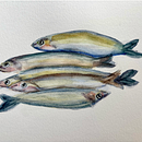 Peces. Watercolor Painting project by Alejandra Taborda - 04.03.2026
