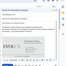 EVOLUX Y ESTRATEGIA COMERCIAL Ein Projekt aus dem Bereich Business, Kommunikation, Content-Marketing, Digitales Marketing, Marketing für Instagram und Marketing von orianalima1101 - 07.04.2026