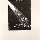 Donde Nace la Luz . Gravură și Tipărire de Tingting Pan - 04.15.2026