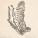 O Começo do Caído  . % Luísa Costa tarafından hazırlanan Çizim projesi - 04.19.2026