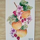 Técnicas artísticas para ilustración naturalista. Acr, lic Painting, Traditional illustration, Watercolor Painting, Botanical Illustration, Colored Pencil Drawing & Ink Illustration project by Danella Ortega Graziani - 04.21.2026