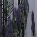 jardín de niños. Architecture, L, scape Architecture, and Spatial Design project by Pedro Alberto Alejandre - 04.21.2026