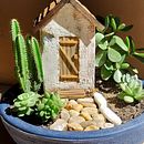 Projeto Rosa do Deserto. Een project van  Art direction,  Ontwerp, Productontwerp, Grafisch ontwerp, Marketing y Packaging van pedro melo - 23.04.2026