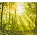 Un paisaje de ensueño . % José Berjano Gil tarafından hazırlanan Tablo, Sulubo, Ve a Resim projesi - 04.24.2026