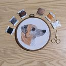 Tapita. Projekt z dziedziny  Haft, Ilustracja naturalistyczna i Wzornictwo tekstyliów użytkownika Alejandra Ibarra - 26.04.2026