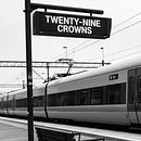 Veintineve Coronas. Un progetto di Scrittura creativa, Creatività, Narrativa, Stor, telling e Scrittura di Jhonatan Fernández - 26.04.2026