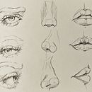 Mis dibujos del curso. Un progetto di Disegno, Disegno di ritratti, Sketchbook, Bozzetti e Belle arti di Angie Nicole Altamirano Helguero - 03.05.2026