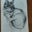 Cat Charcoal . Un progetto di Disegno, Belle arti, Disegno di ritratti e Illustrazione naturalistica di dornroeschen - 17.05.2026