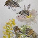 Natural watercolor scenery’s drawing ✍🏻 with some insects 🐝  . % Ms. Yoko Wakabayashi tarafından hazırlanan Geleneksel illüstras, on, Doğalcı İllüstras, on, Ve Tablo projesi - 05.23.2026
